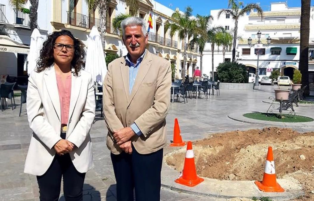 Comenzamos los trabajos de mejora de especies vegetales en la plaza Juan Carlos I