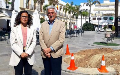 Comenzamos los trabajos de mejora de especies vegetales en la plaza Juan Carlos I